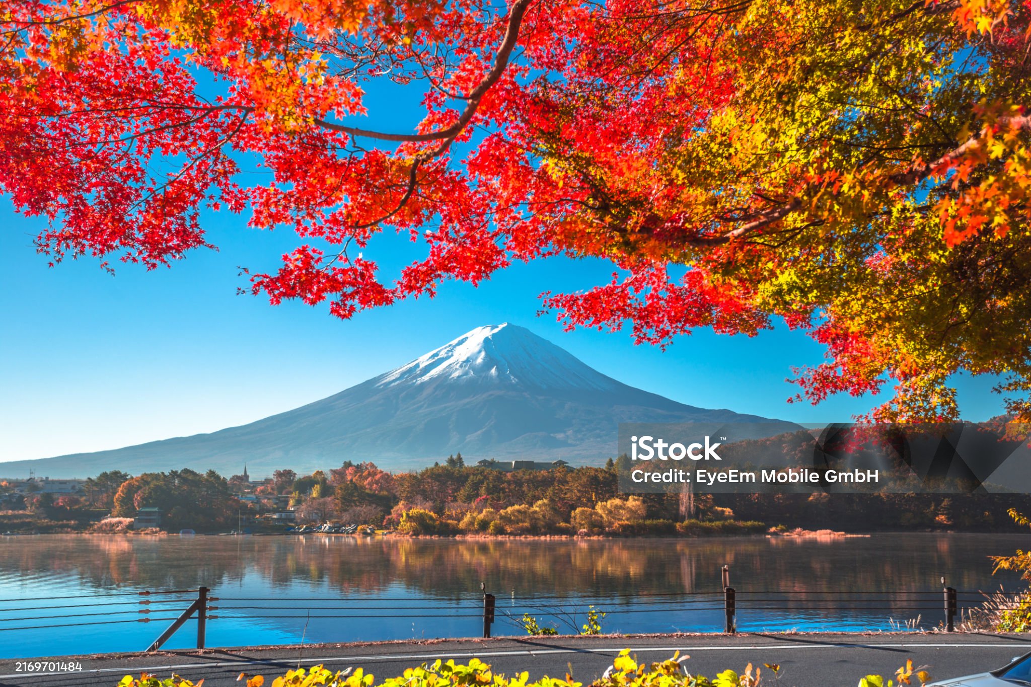 Turur în Japonia3