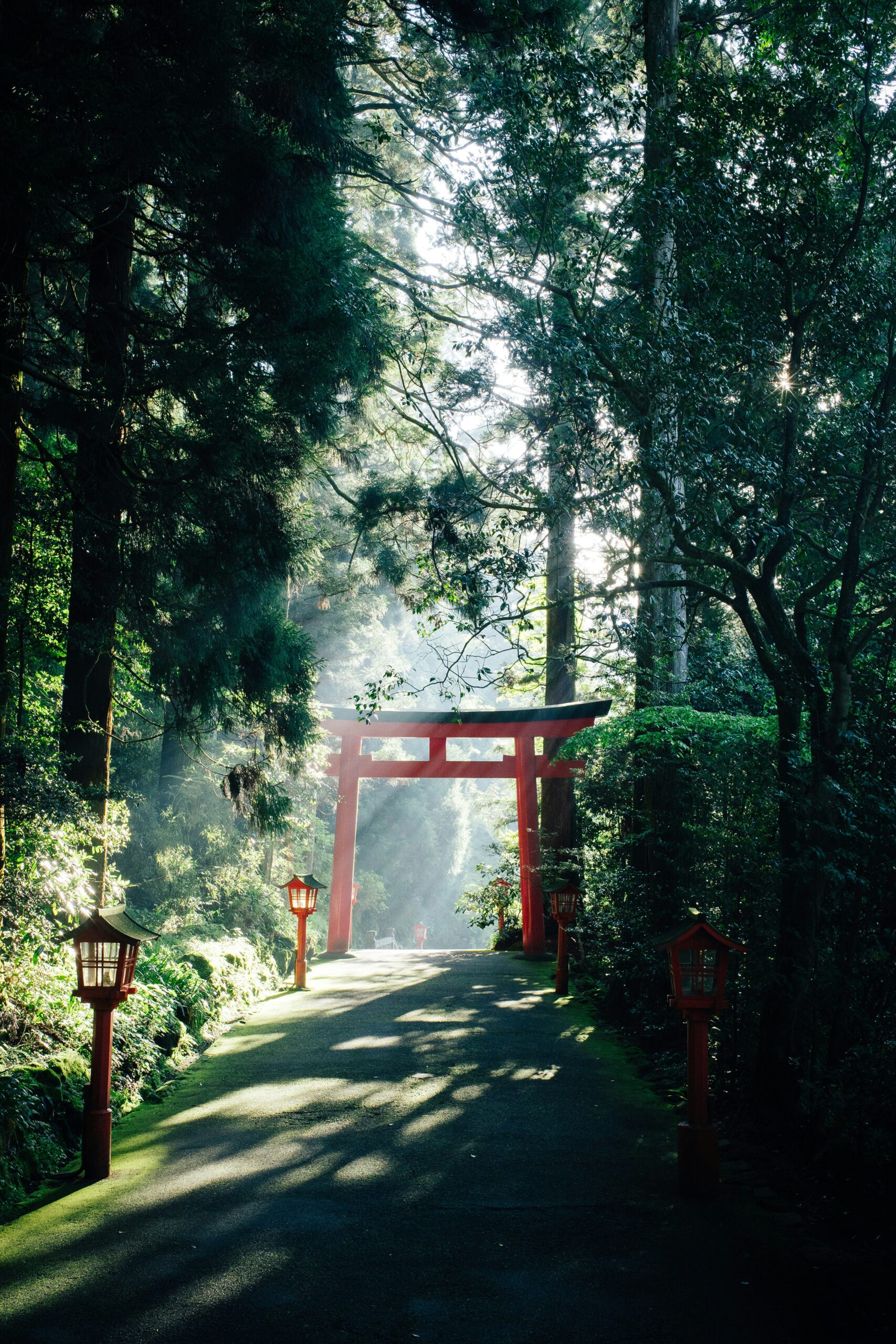 Turur în Japonia4