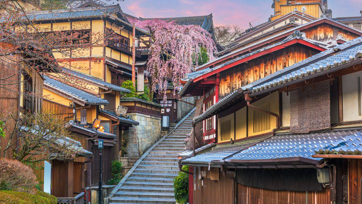 Япония — большое путешествие! 2026